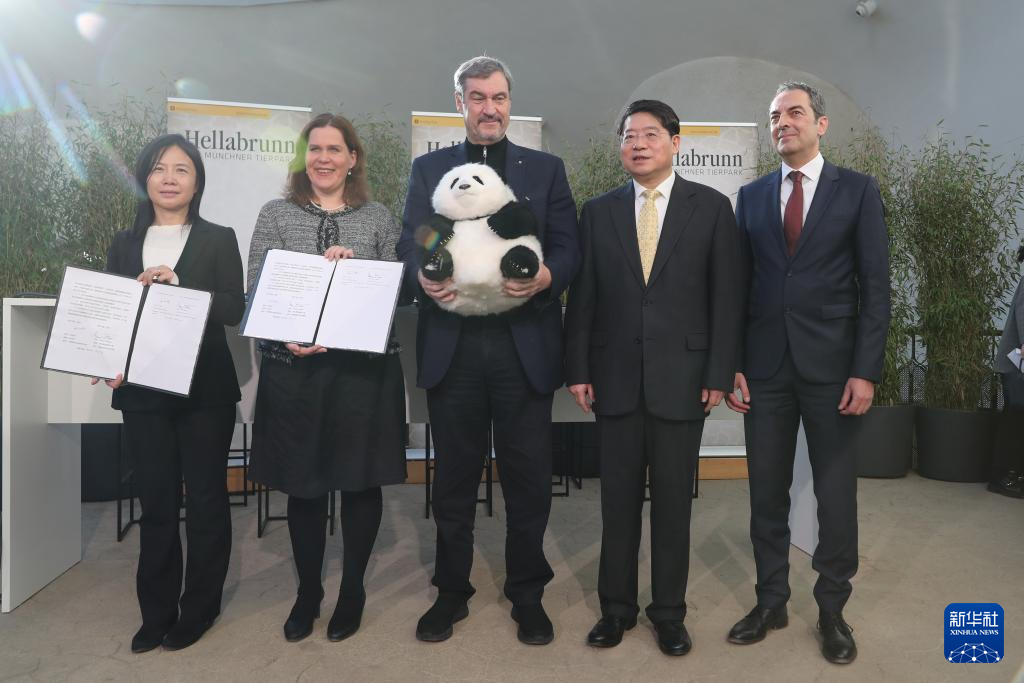 签了！两只大熊猫将赴德国旅居十年(图1)
