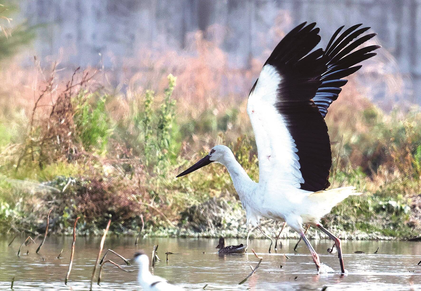 石狮要闻_石狮市融媒体中心(图2)