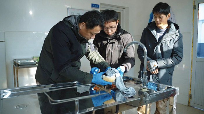 278只“鸟中大熊猫”的安徽越冬记 黄山学院团队用坚守交出江淮生态高分答卷(图2)