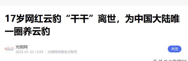 中国大陆动物园最后一只！活了17年2025年在重庆动物园去世(图22)