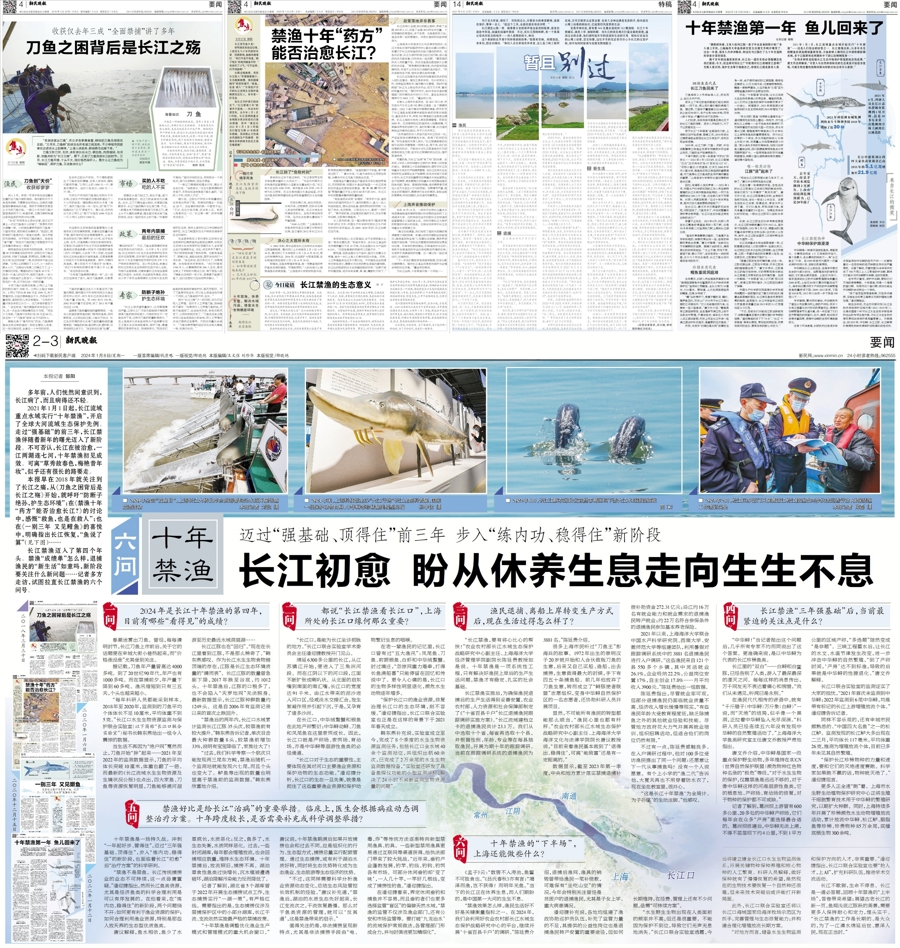 在长江“终点”守望生命“起点”：上海与一尾鲟的“生态之约”(图1)