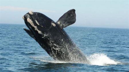 挖矿最新资讯-快科技--科技改变未来(图1)