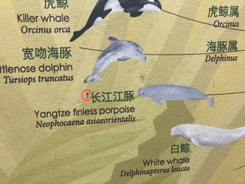 南京红山动物园回应“长江江豚被误标灭绝”(图1)