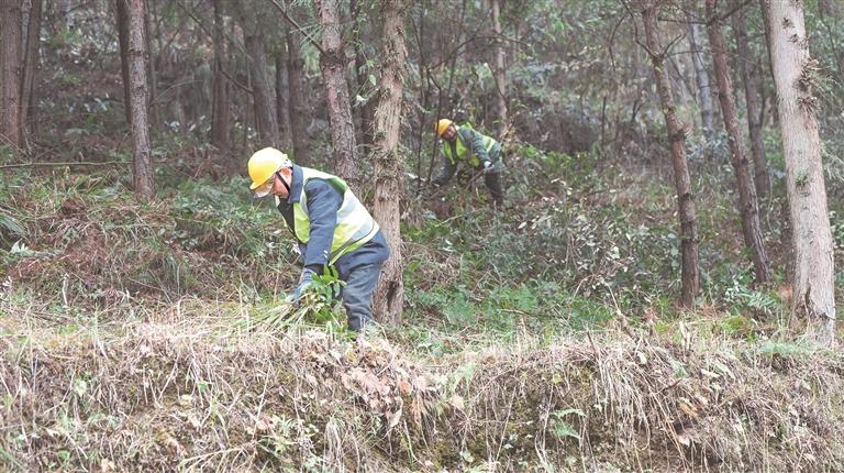 中国海警依法开展常态化执法巡查 黄岩岛生态保护成效显著(图1)