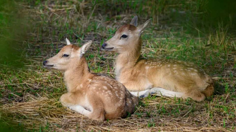市场监管总局公布4起直播电商领域典型案例 成都快购被罚超2600万(图1)