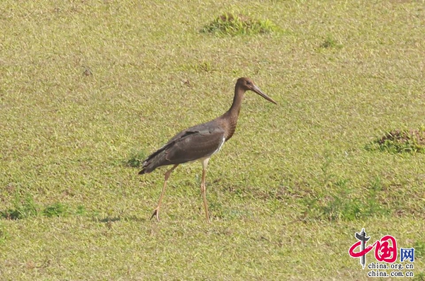 西湖相关食品资讯_食品伙伴网(图1)
