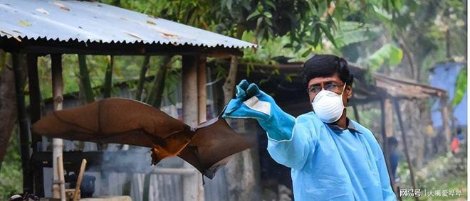 “尼帕病毒”来势汹汹建议：每家备好5样东西关键时刻能救命(图4)