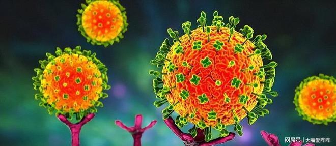 “尼帕病毒”来势汹汹建议：每家备好5样东西关键时刻能救命(图2)