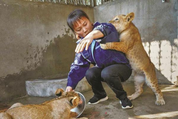 le国家林业局副局长印红在国新办新闻发布会上的开场白(图1)