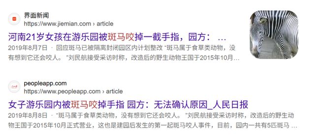 非洲斑马那么多为什么人们不骑它们(图8)