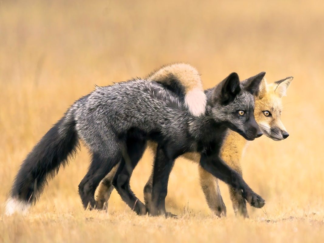 守护飞鸟你我皆是同路人