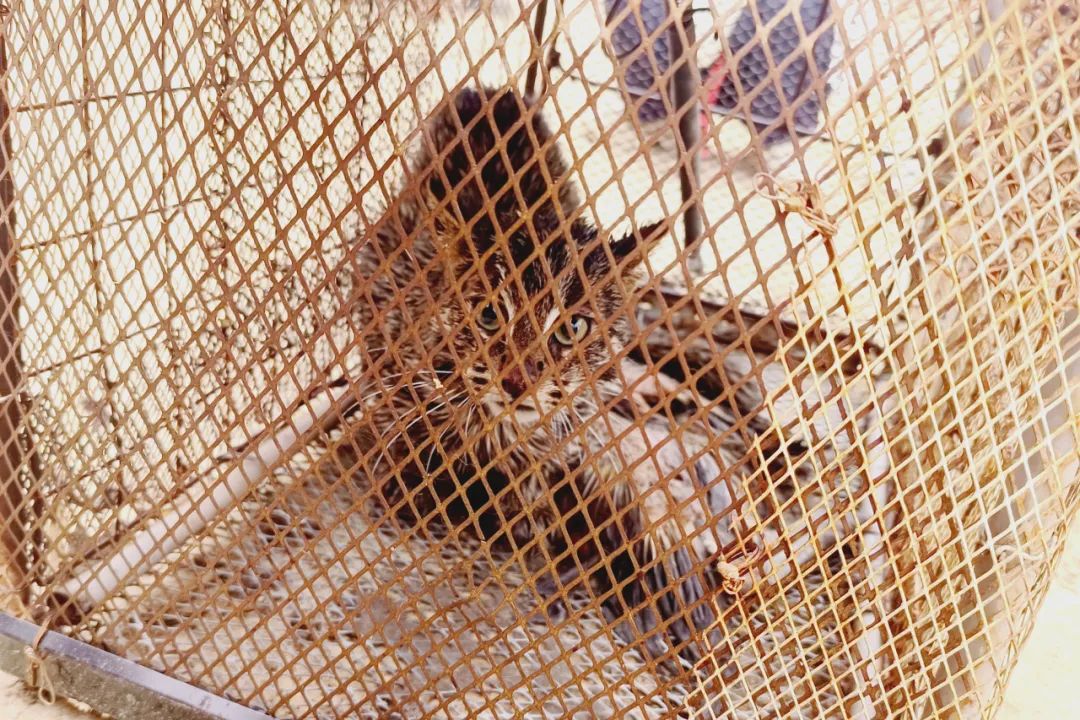 全国两会联动报道(图1)