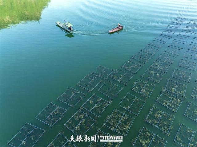 大江奔腾 “国宝”归来(图5)