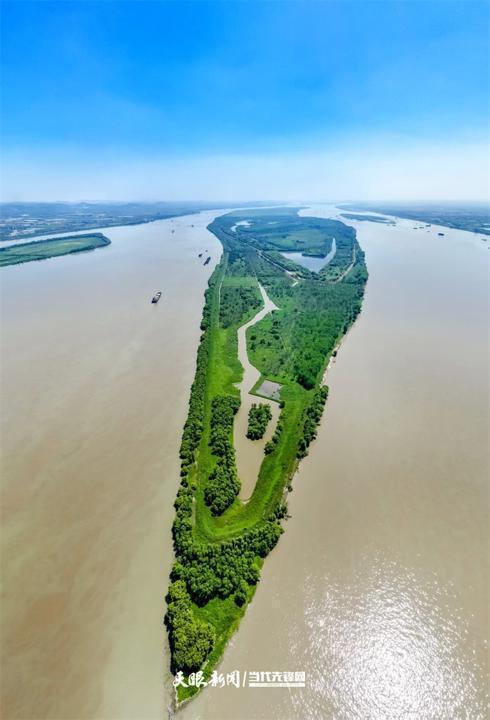 大江奔腾 “国宝”归来(图19)