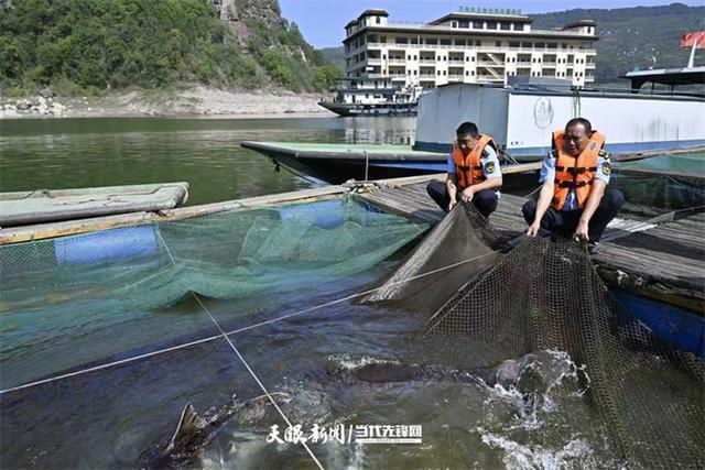 大江奔腾 “国宝”归来(图8)