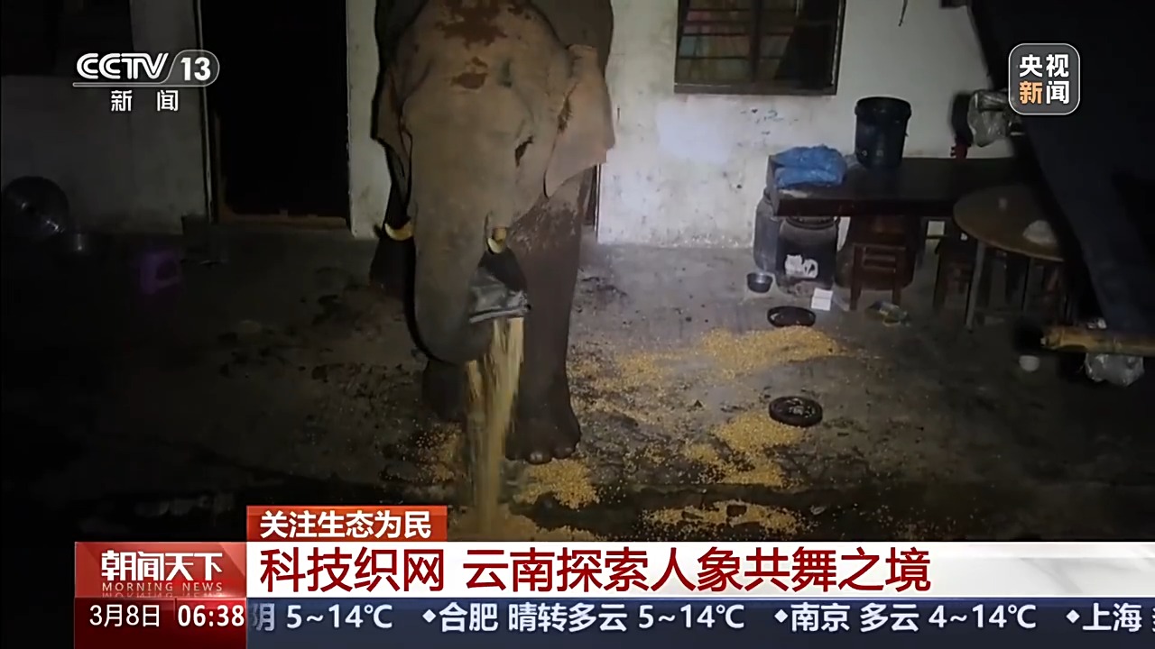 保护野生动物不仅靠“情怀”更靠“机制” 多地交上答卷(图2)