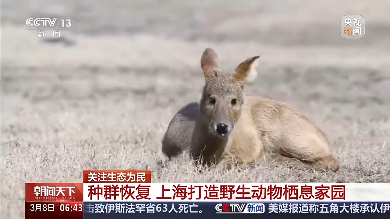 保护野生动物不仅靠“情怀”更靠“机制” 多地交上答卷(图7)