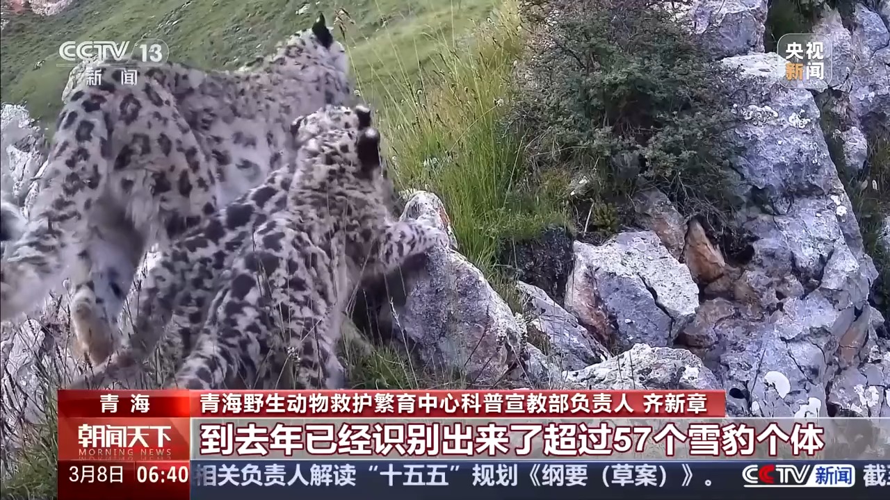 保护野生动物不仅靠“情怀”更靠“机制” 多地交上答卷(图5)