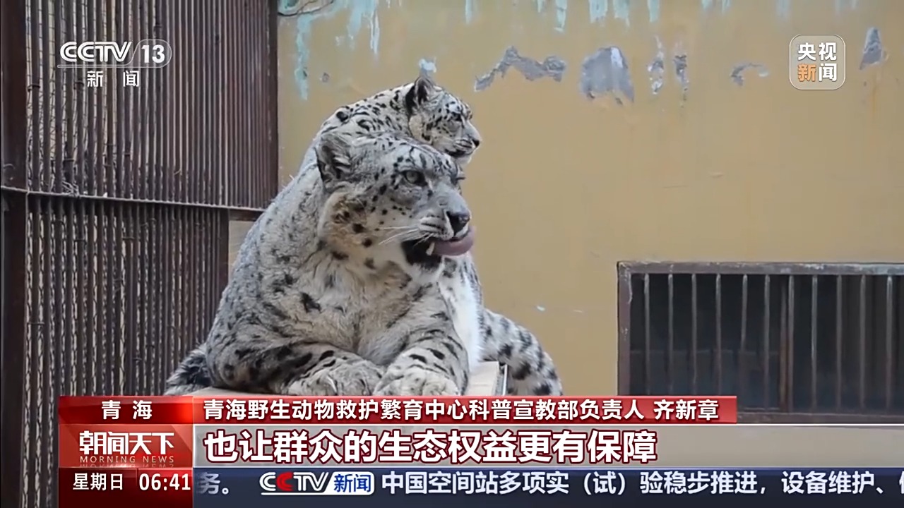 保护野生动物不仅靠“情怀”更靠“机制” 多地交上答卷(图6)