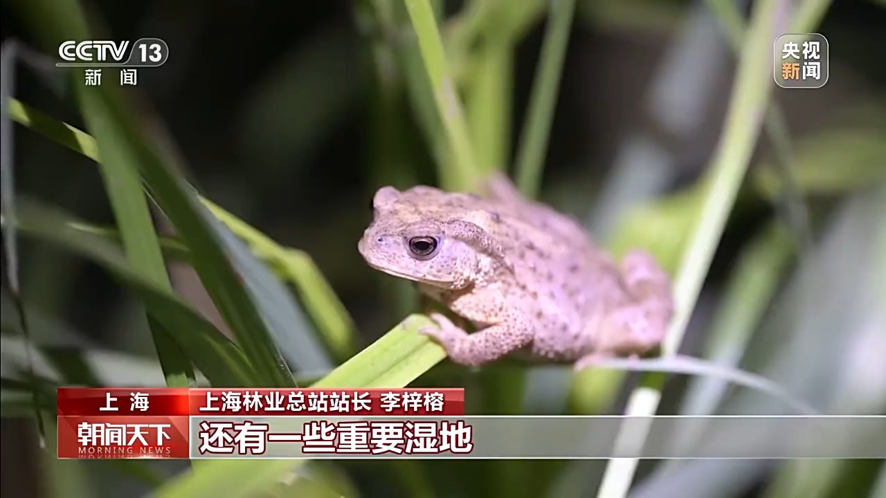 保护野生动物不仅靠“情怀”更靠“机制” 多地交上答卷(图8)