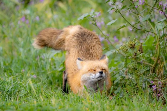 1只也犯罪! 2024年宁夏荒山上发现1具野生的尸体 凶手10天后被抓(图12)