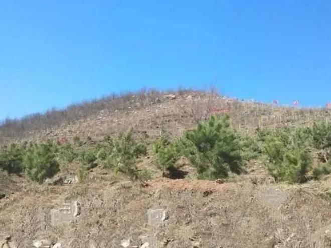 1只也犯罪! 2024年宁夏荒山上发现1具野生的尸体 凶手10天后被抓(图2)