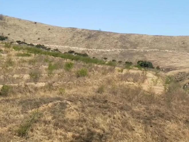 1只也犯罪! 2024年宁夏荒山上发现1具野生的尸体 凶手10天后被抓(图1)