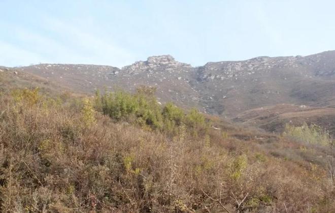 1只也犯罪! 2024年宁夏荒山上发现1具野生的尸体 凶手10天后被抓(图9)