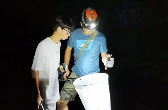 17岁男生发现新物种筷子蛇 直接发SCI期刊(图3)