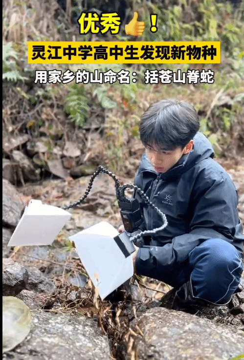 17岁男生发现新物种筷子蛇 直接发SCI期刊(图2)