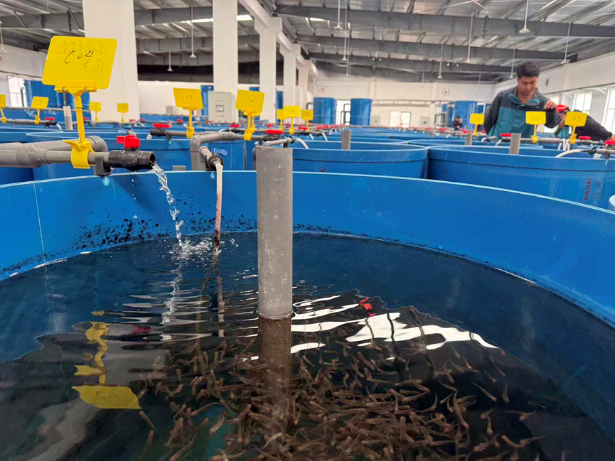 党媒联动｜黄河好鱼知道(图14)