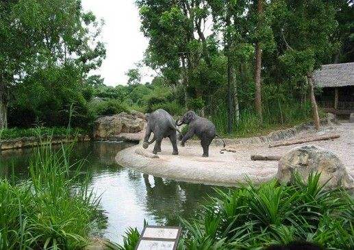 以案释法丨湘东区公布四起伤害野生动物(图1)