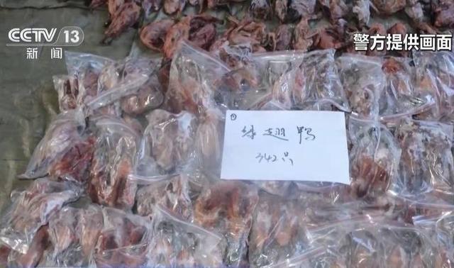 严打网络非法野生动植物贸易365个犯罪团伙被捣毁(图1)