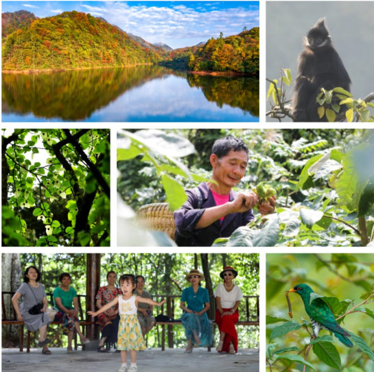 保护是为了人民——从宽阔水的实践看我国自然保护区条例的修订(图3)