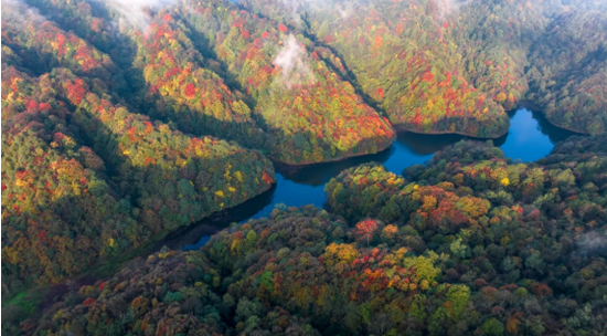 保护是为了人民——从宽阔水的实践看我国自然保护区条例的修订(图1)