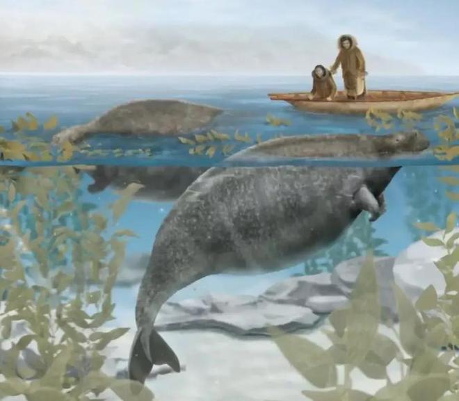 数百年来已灭绝的九种动物大海牛、旅鸽被吃光渡鸟被人类灭绝(图3)