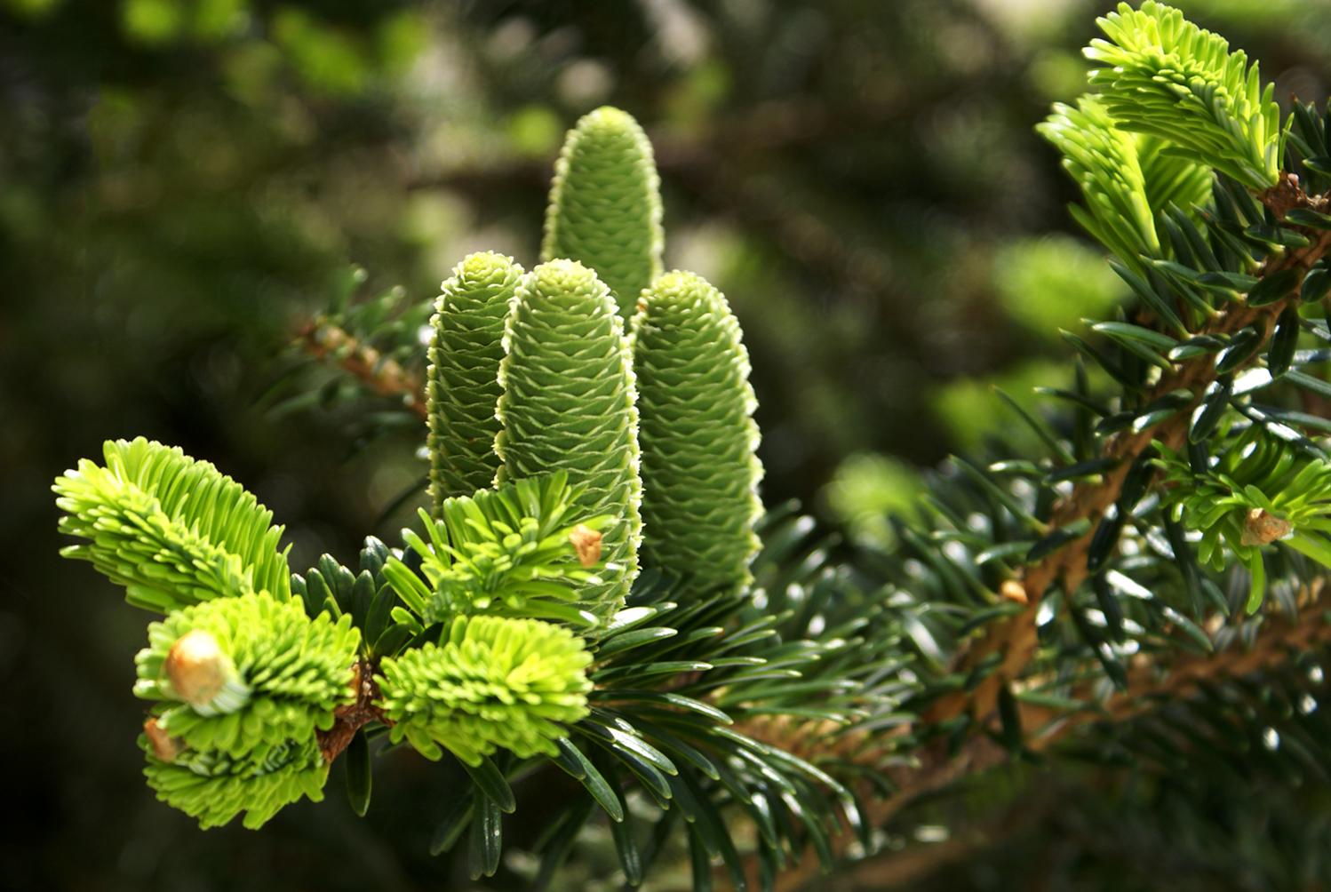 世界野生动植物日：中国守护交出亮眼答卷(图3)