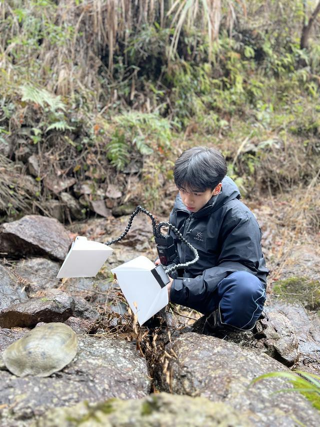 高三生发现新物种：是学术包装还是热爱成真？｜大象夜读(图1)