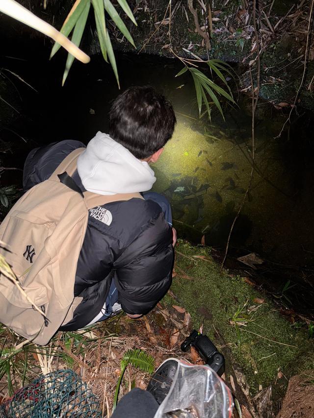 高三生发现新物种：是学术包装还是热爱成真？｜大象夜读(图3)