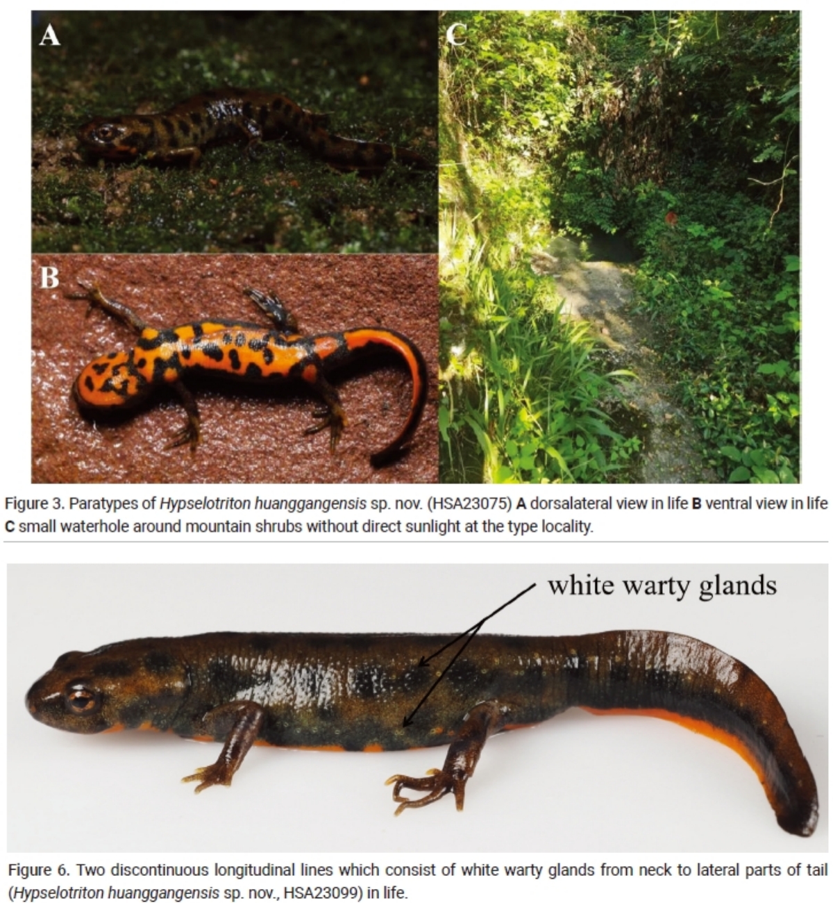 3月25日丨暖城早新闻(图1)