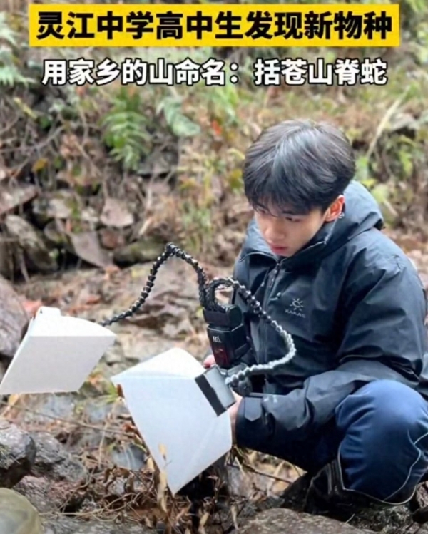 浙江17岁男生深夜刷山40天竟发现新物种“筷子蛇”还发了SCI(图1)