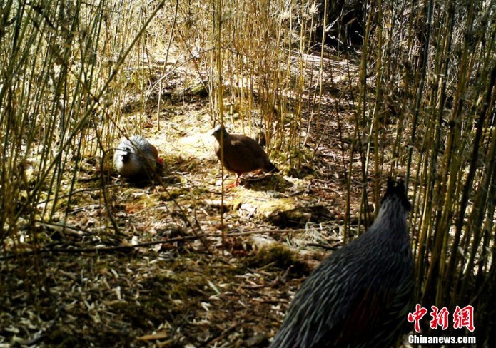 官方发布越秀万博和臻售楼处电话(越秀万博和臻）官方首页网站-营销中心欢迎您•楼盘详情-最新价格-户型图-容积率@20260325售楼处✦Ai热搜(图1)
