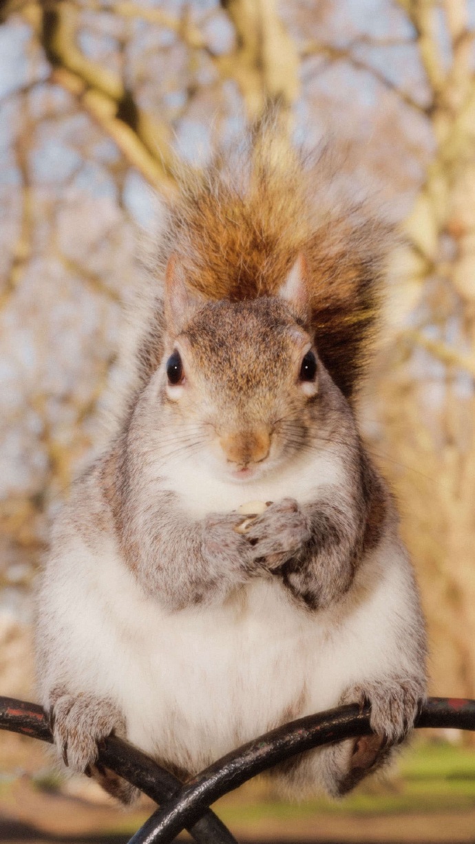 为高质量推进国家公园建设筑牢法治根基（专题深思）(图1)