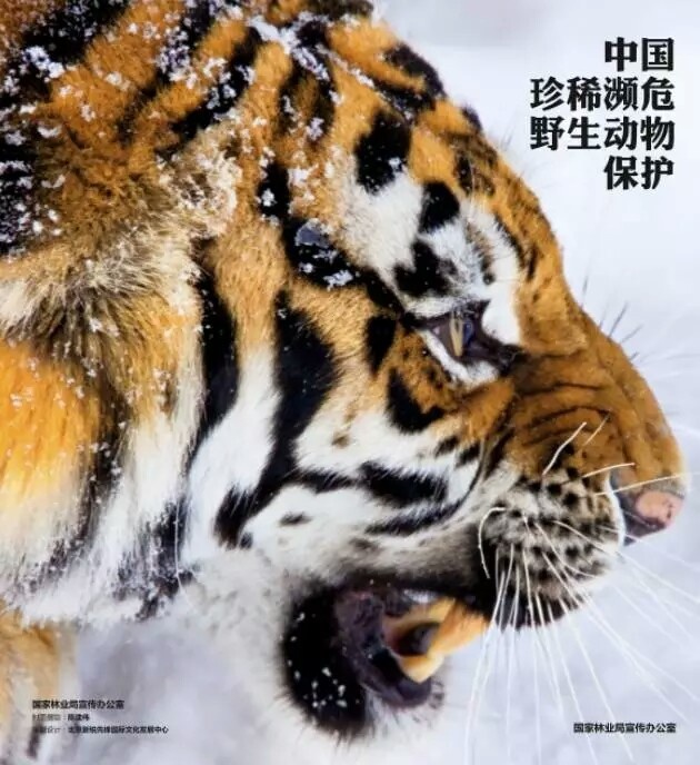 中国十大濒危动物(图1)