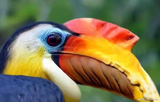 上海男子花6800元购鹤顶红一颗一年后被查获即定罪(图4)