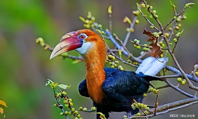 上海男子花6800元购鹤顶红一颗一年后被查获即定罪(图6)