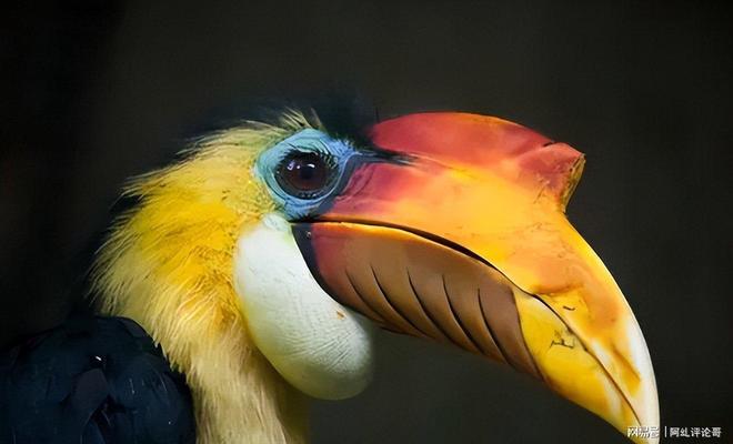 上海男子花6800元购鹤顶红一颗一年后被查获即定罪(图7)