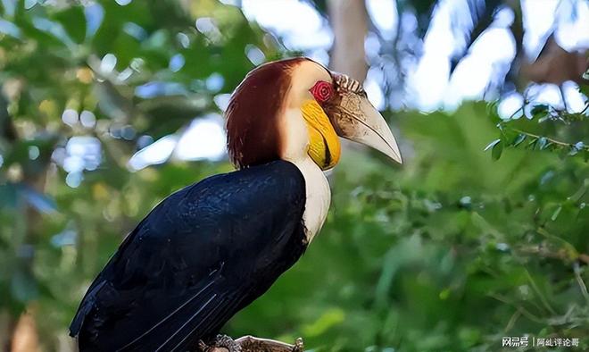 上海男子花6800元购鹤顶红一颗一年后被查获即定罪(图8)