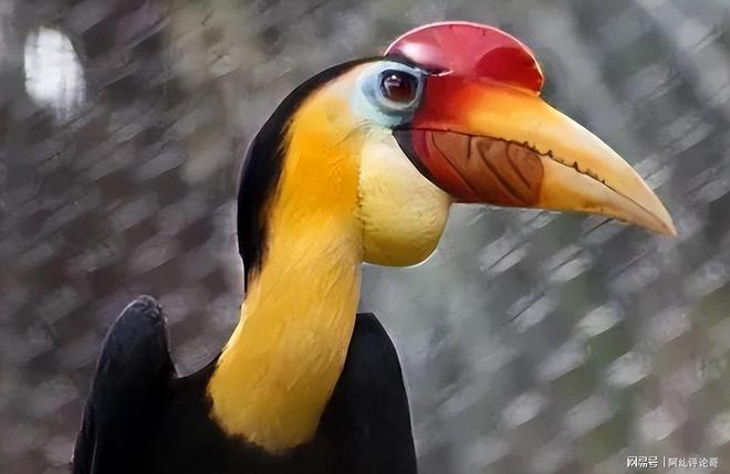 上海男子花6800元购鹤顶红一颗一年后被查获即定罪(图9)