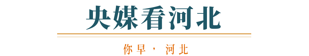 你早河北｜全球首次野化放飞青头潜鸭；全省天气有点“乱套”；解码特朗普“赢学”；高市早苗向马克龙施展“龟派气功”(图6)